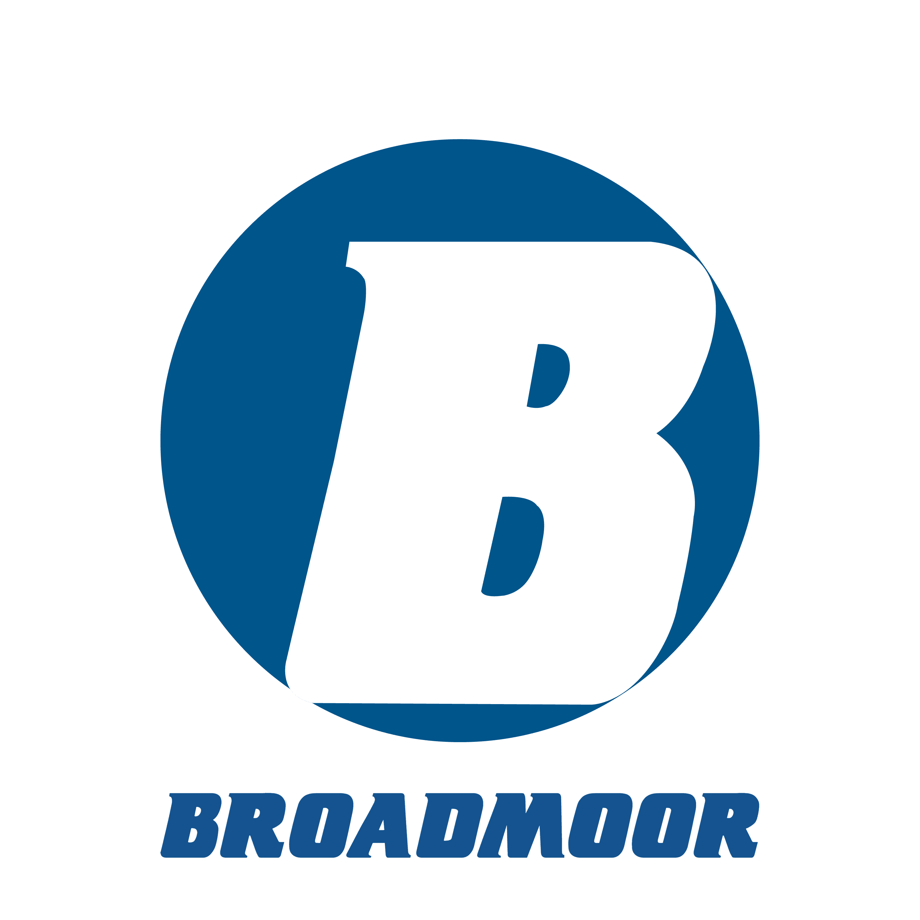 Broadmoor, LLC logo